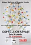 Copacul cu răvaşe
