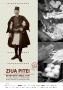 Ziua Pitei 