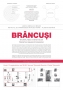 Brâncuși – Semnificațiile unei revoluții